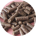 Biomass Pellet